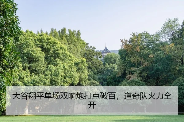 da-gu-xiang-ping-dan-chang-shuang-xiang-pao-da-dian-po-bai-dao-qi-dui-huo-li-quan-kai-2-613.jpg