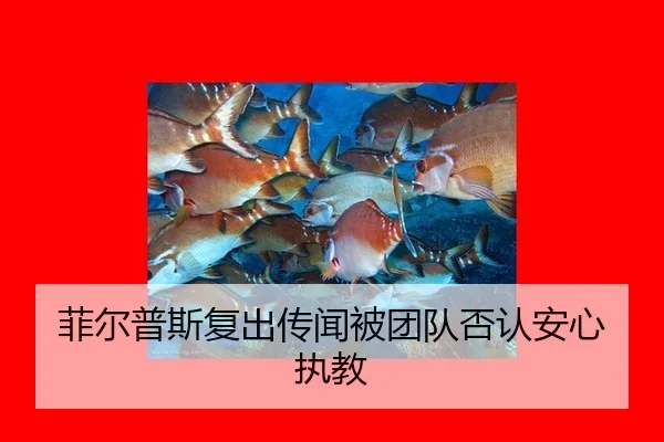 fei-er-pu-si-fu-chu-chuan-wen-bei-tuan-dui-fou-ren-an-xin-zhi-jiao-2-768.jpg