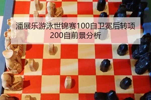 pan-zhan-le-you-yong-shi-jin-sai-zi-wei-mian-hou-zhuan-xiang-zi-qian-jing-fen-xi-3-141.jpg